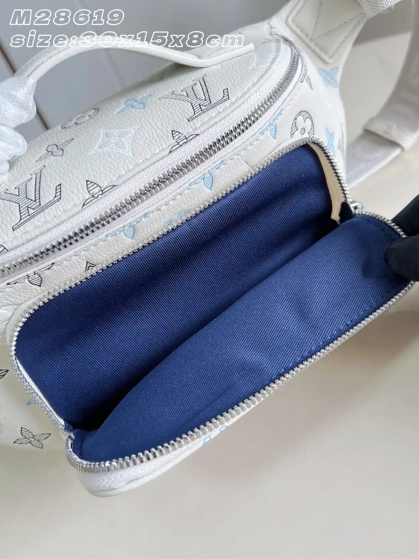 Louis Vuitton Calfskin Belt Bag product photo from LabelPicks