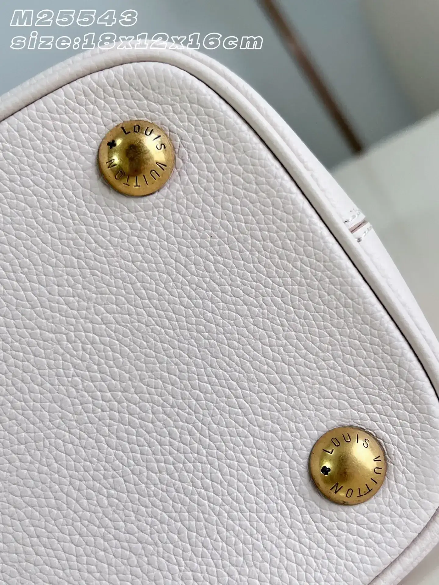 Louis Vuitton Pink Grained Leather Bucket Bag product photo from LabelPicks