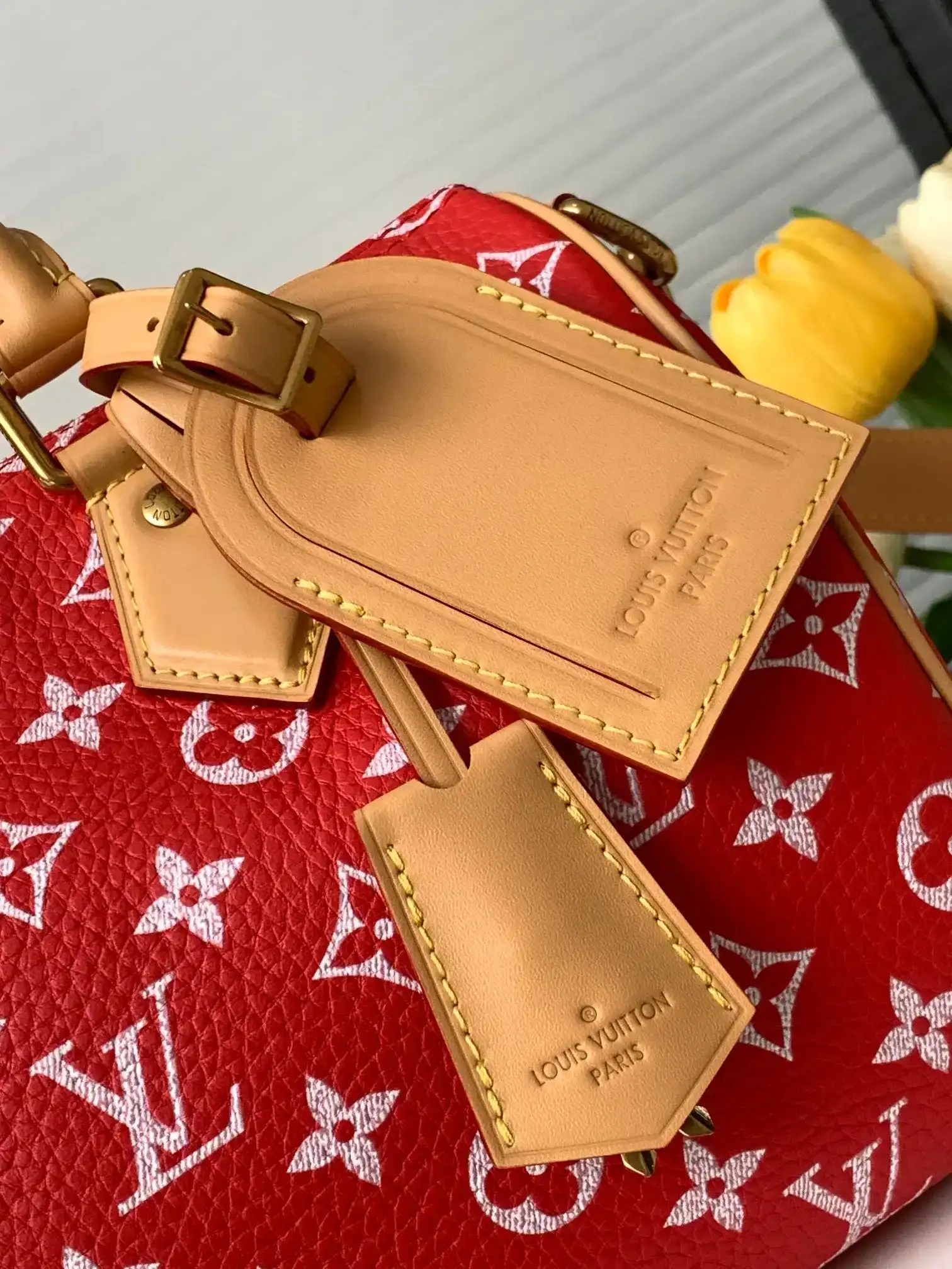 Louis Vuitton Red Speedy Lambskin Top Handle Bag product photo from LabelPicks
