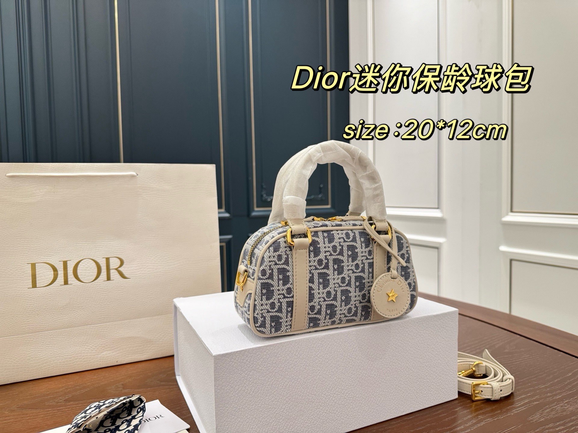 Dior Mini Bowling Bag