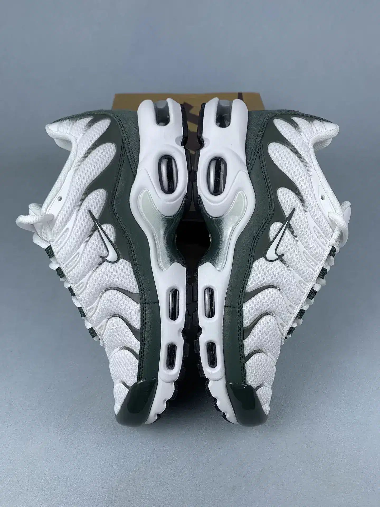 Nike Air Max Plus Premium Shoes product photo from LabelPicks