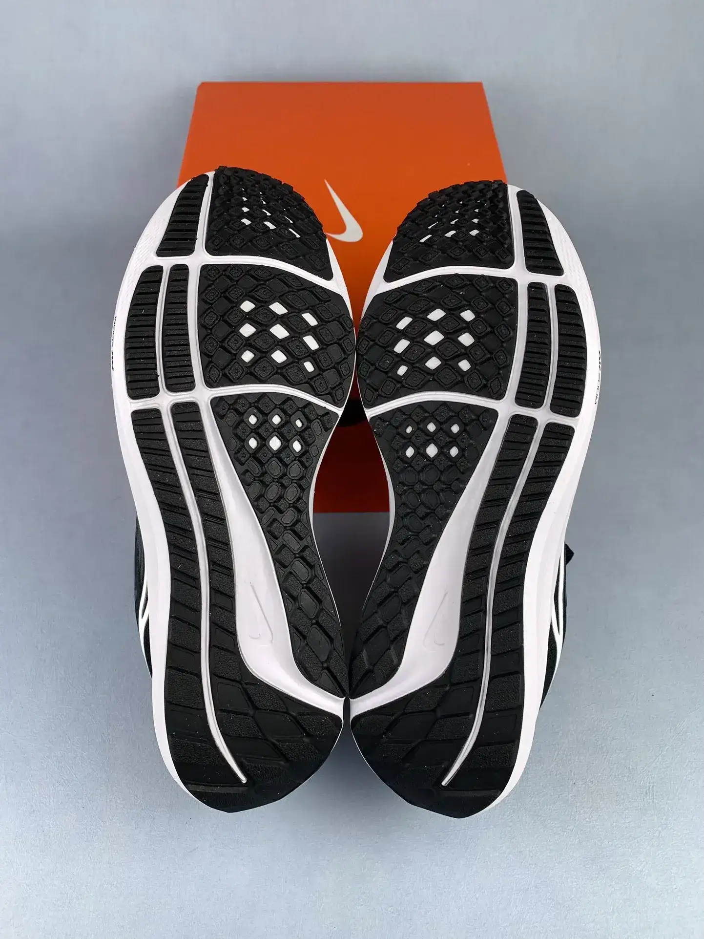 Nike Pegasus 39 Shoes product photo from LabelPicks