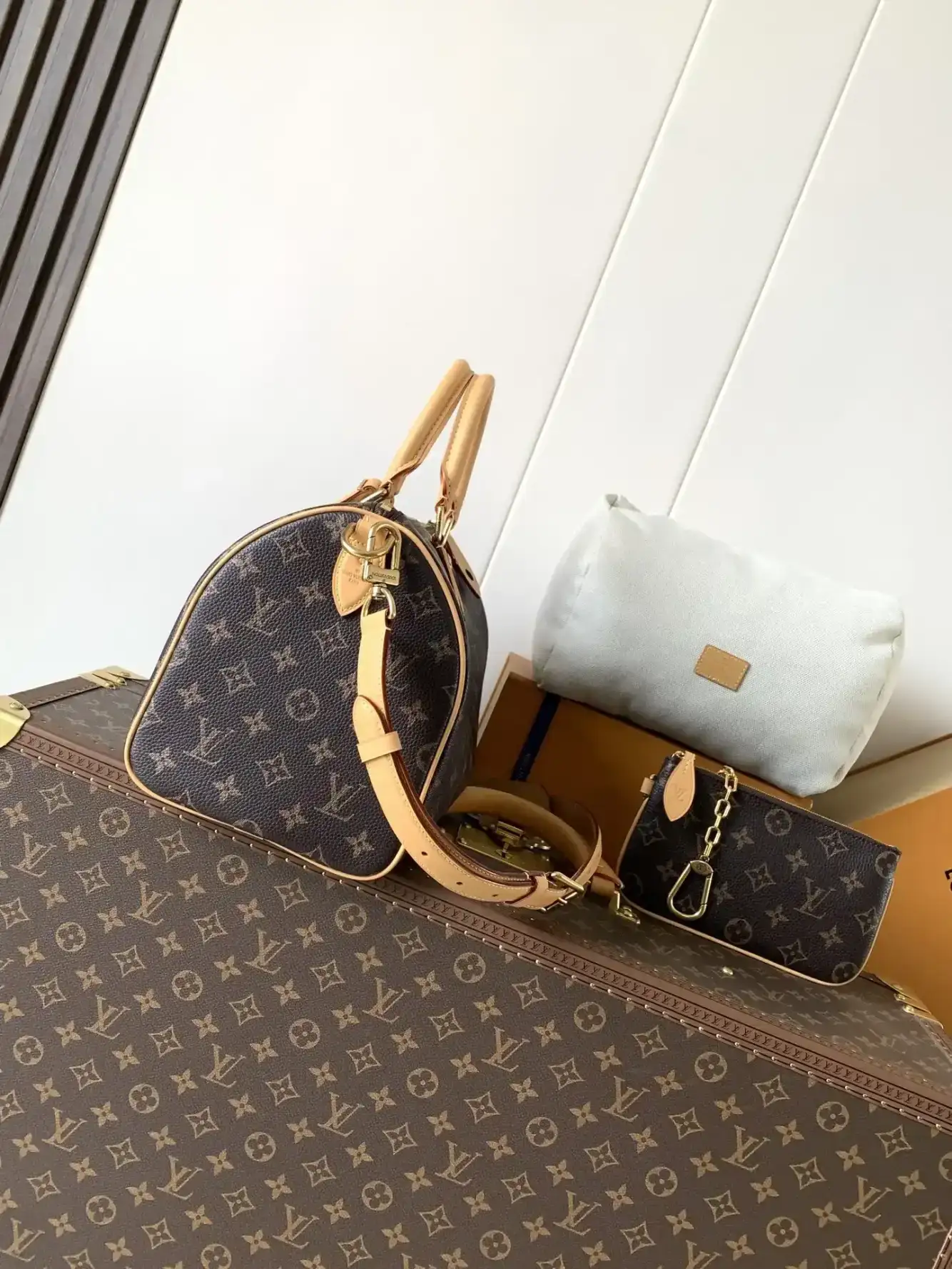 Louis Vuitton Speedy Black Monogram Canvas Top Handle Bag product photo from LabelPicks