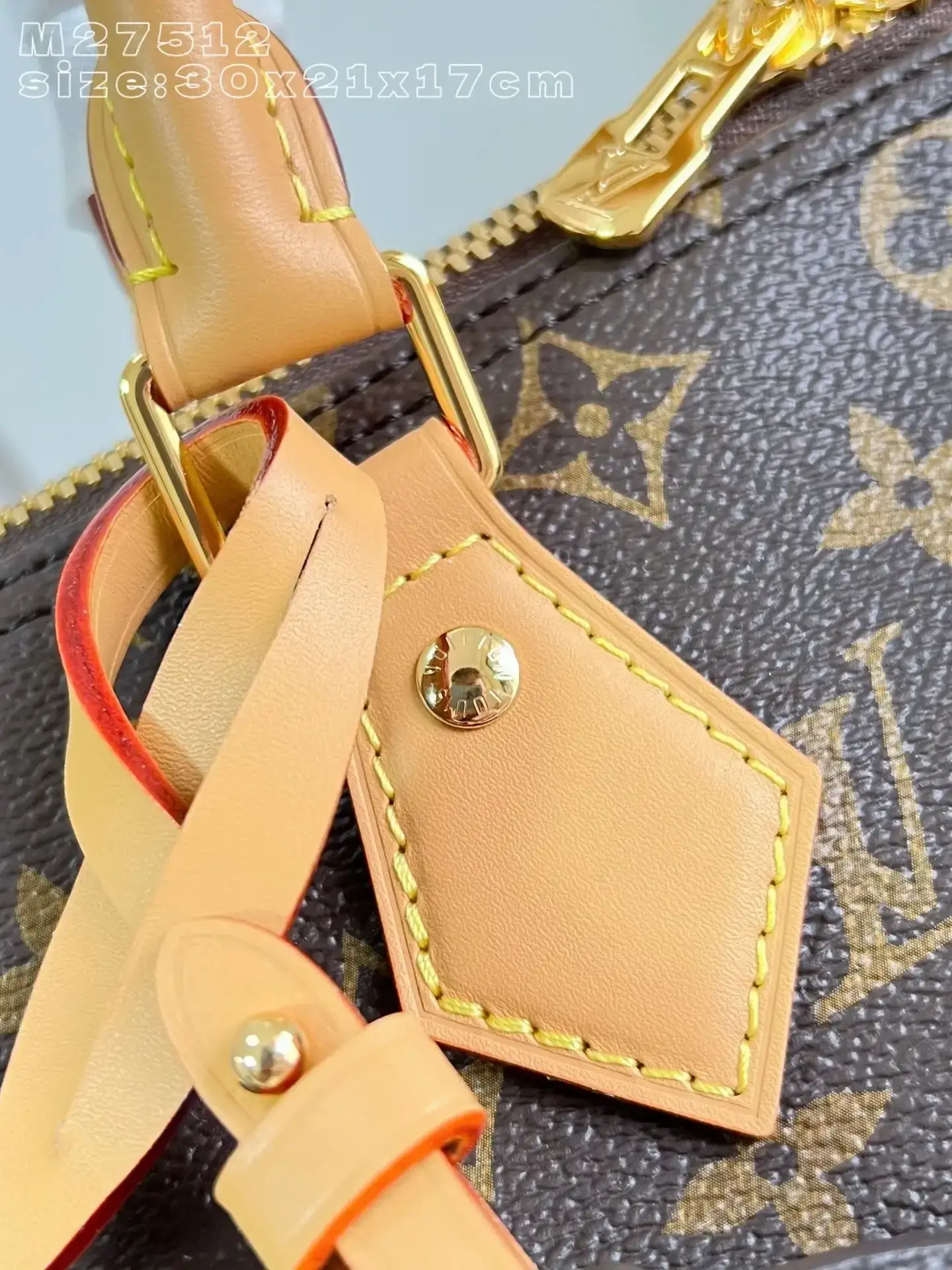 Louis Vuitton Nylon Speedy Top Handle Bag product photo from LabelPicks