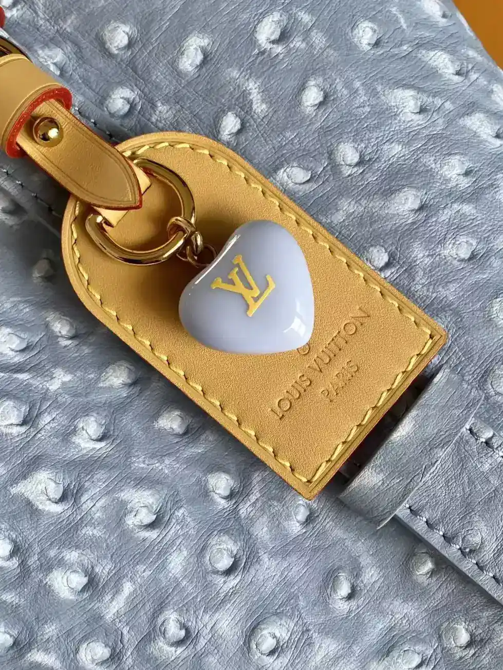 Louis Vuitton Black Grained Leather Bucket Bag product photo from LabelPicks