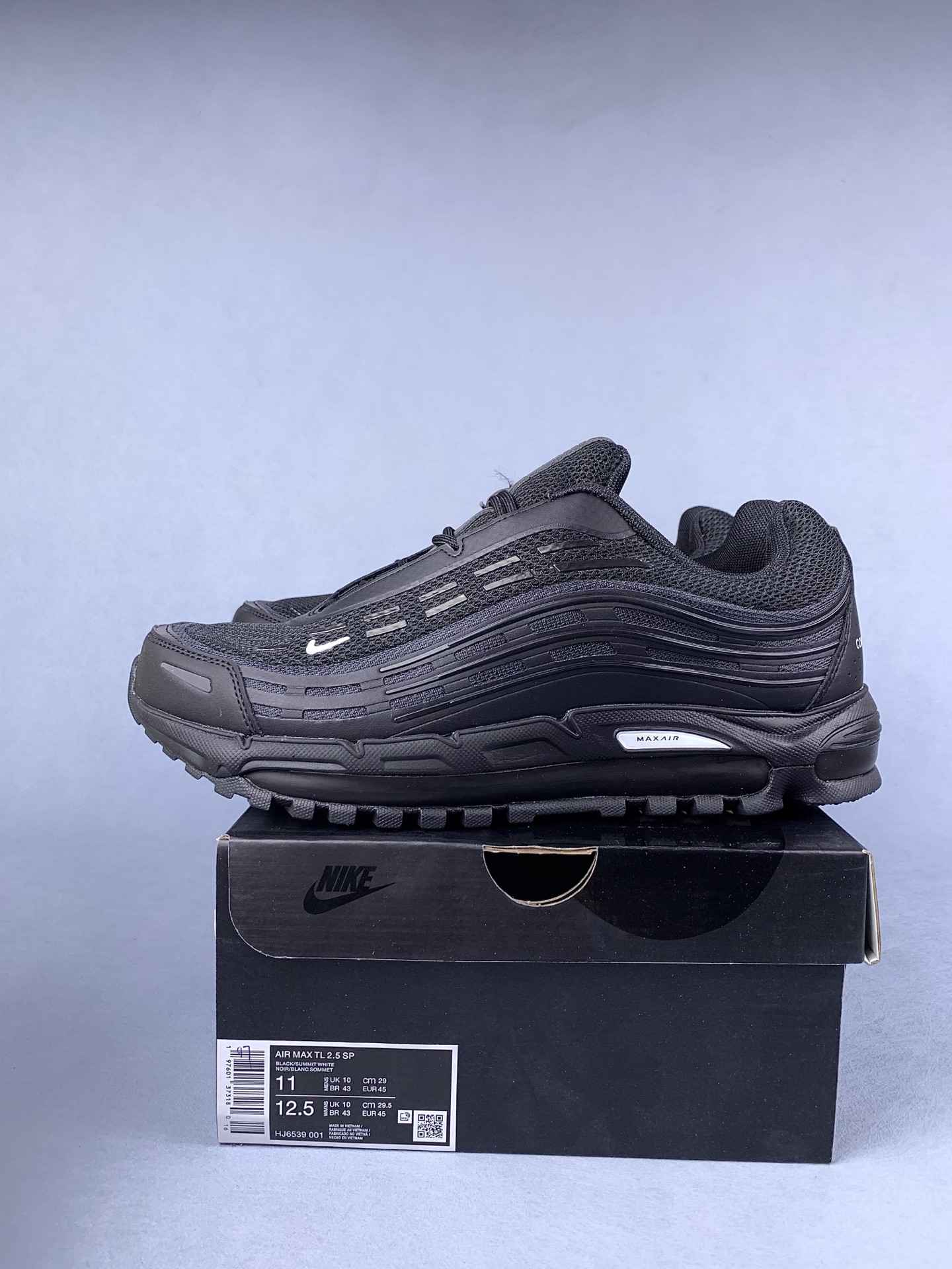 Comme des Garçons Homme Plus x Nike Air Max TL 2.5 Shoes