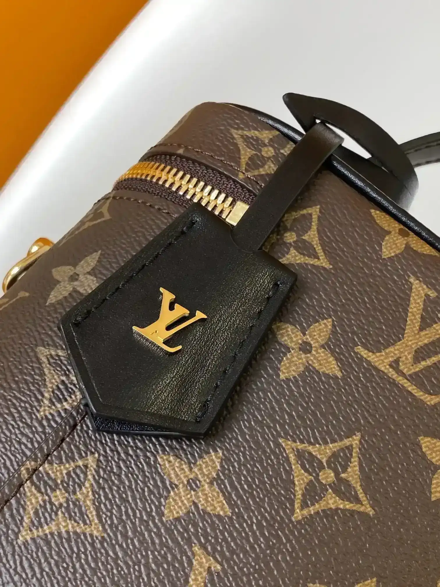 Louis Vuitton Canvas and Leather Top Handle Bag product photo from LabelPicks