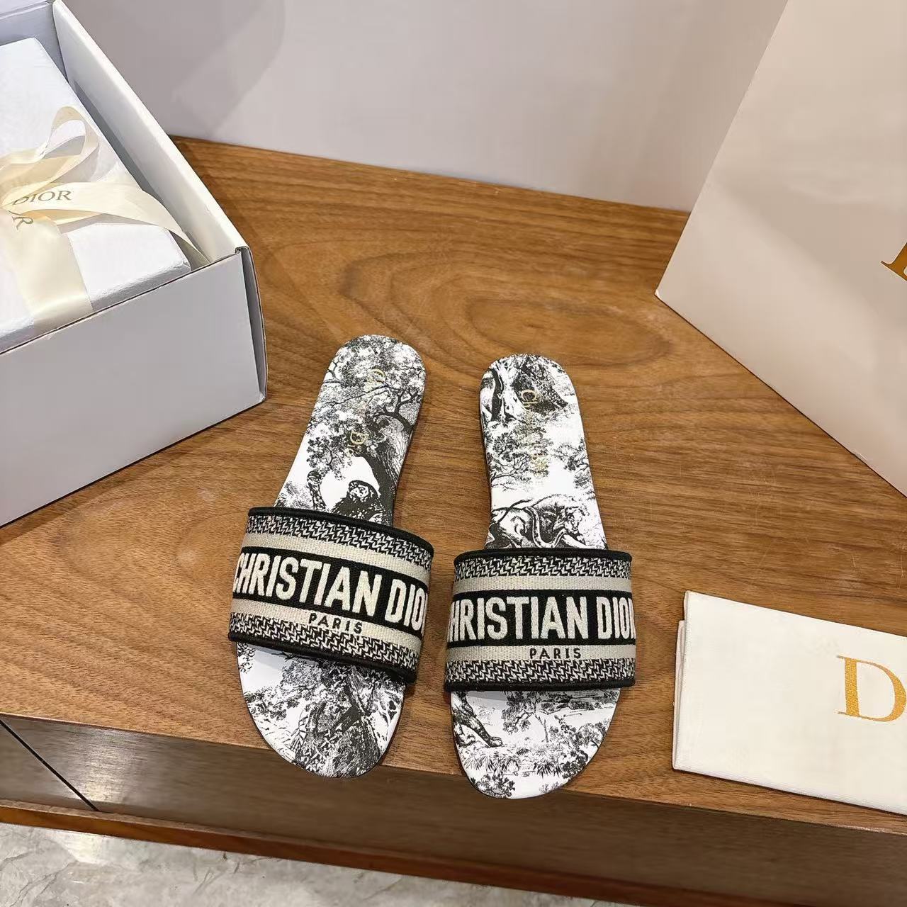 DIOR slide