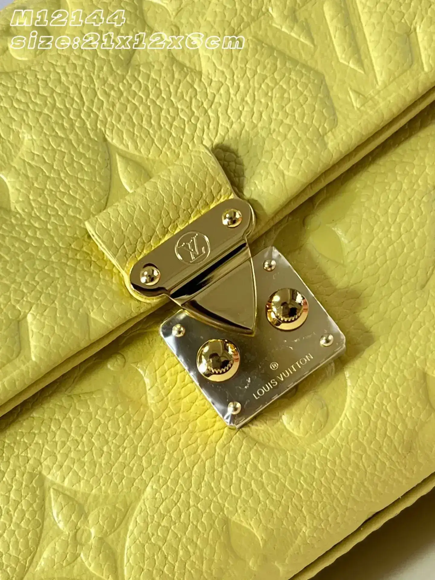 Louis Vuitton Woven Leather Madeleine Top Handle Bag product photo from LabelPicks