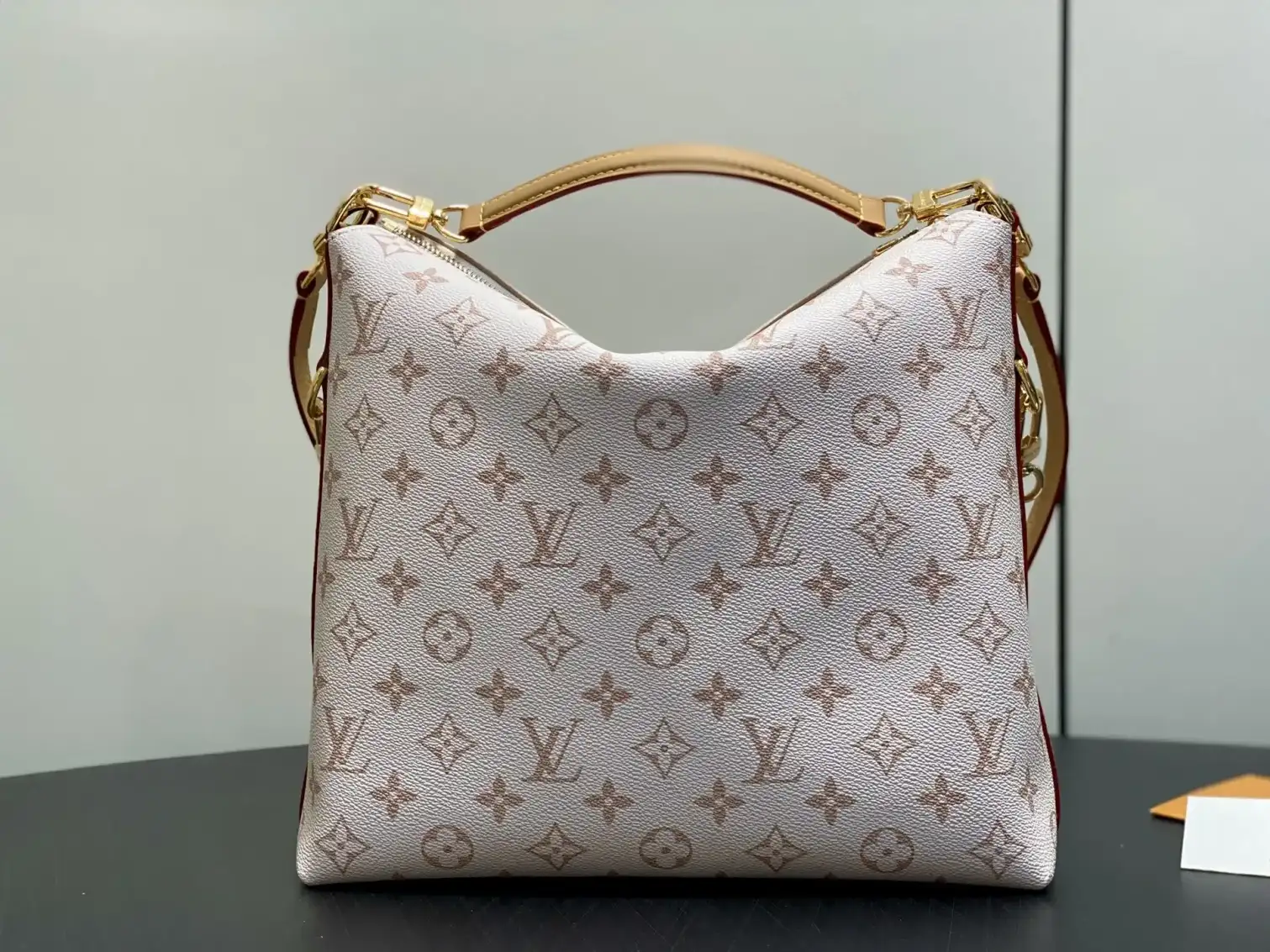 Louis Vuitton Canvas and Leather Shoulder Bag product photo from LabelPicks