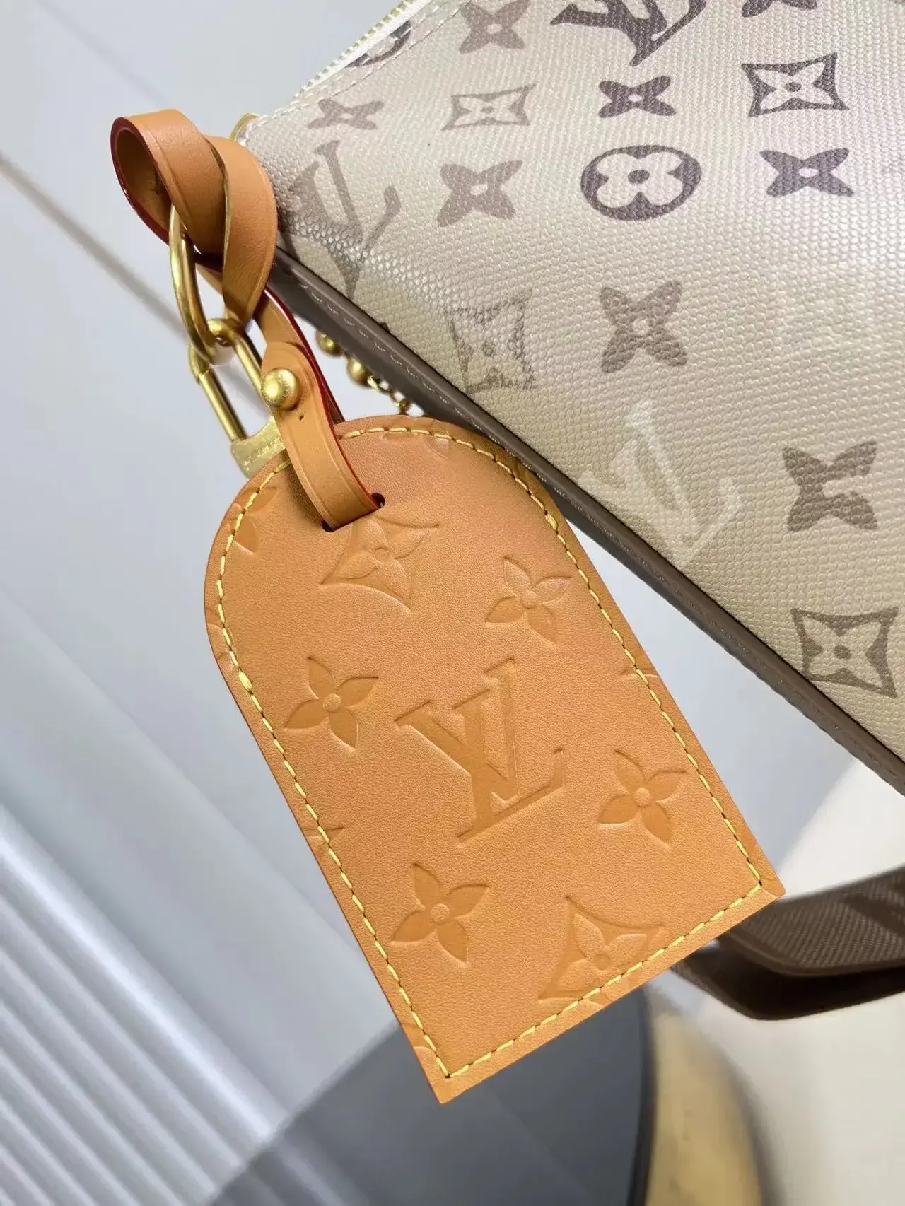 Louis Vuitton Monogram Canvas Hobo Bag product photo from LabelPicks