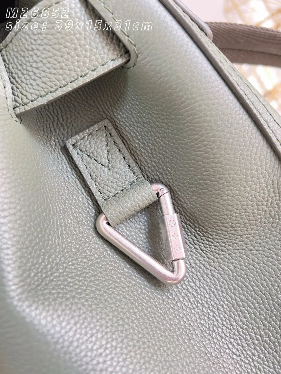 Louis Vuitton Grained Leather Backpack product photo from LabelPicks