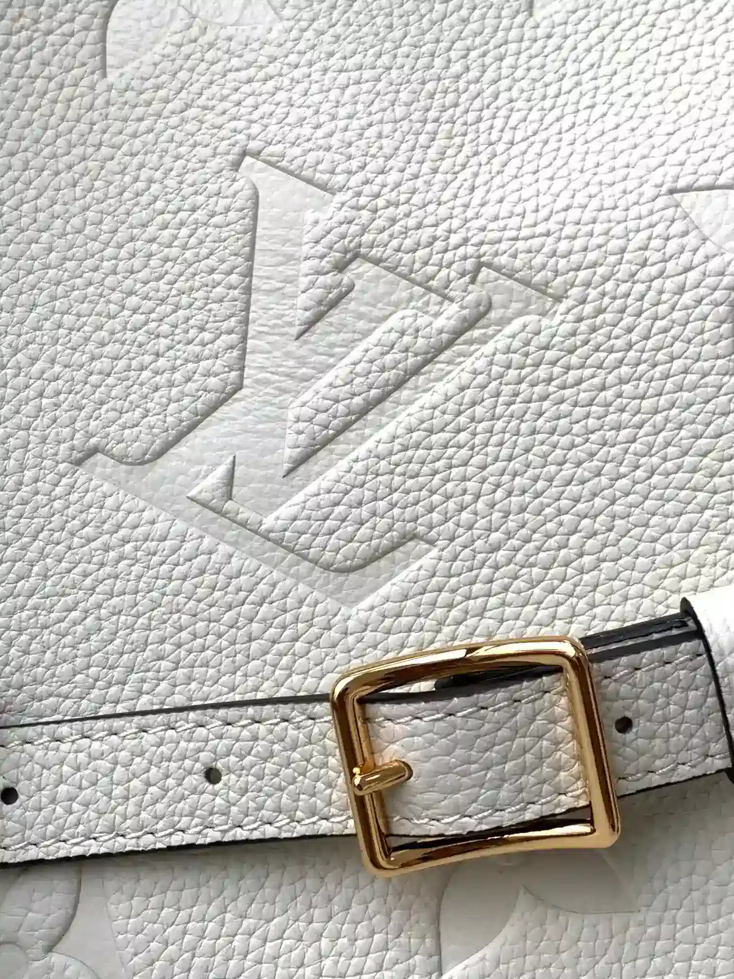 Louis Vuitton Black Loop Grained Leather Hobo Bag product photo from LabelPicks