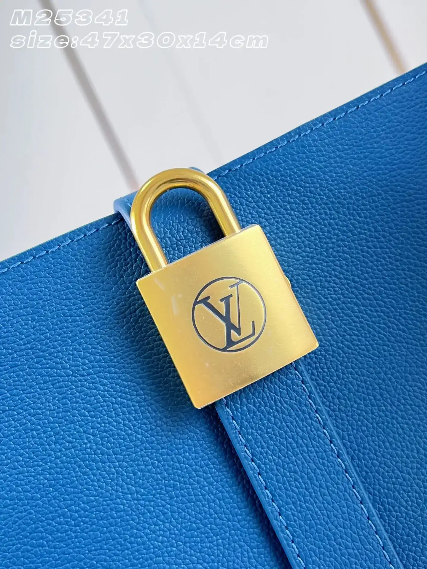 Louis Vuitton Grained Leather Tote Bag product photo from LabelPicks