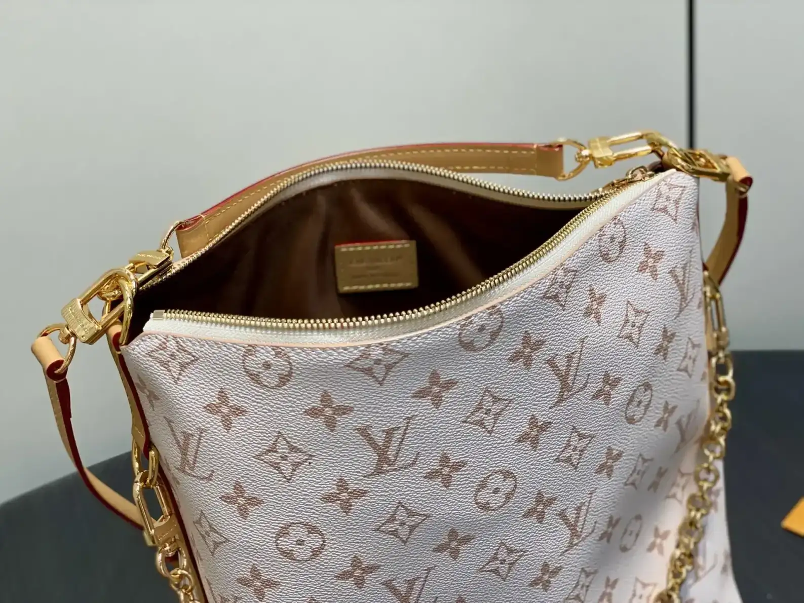 Louis Vuitton Canvas and Leather Shoulder Bag product photo from LabelPicks