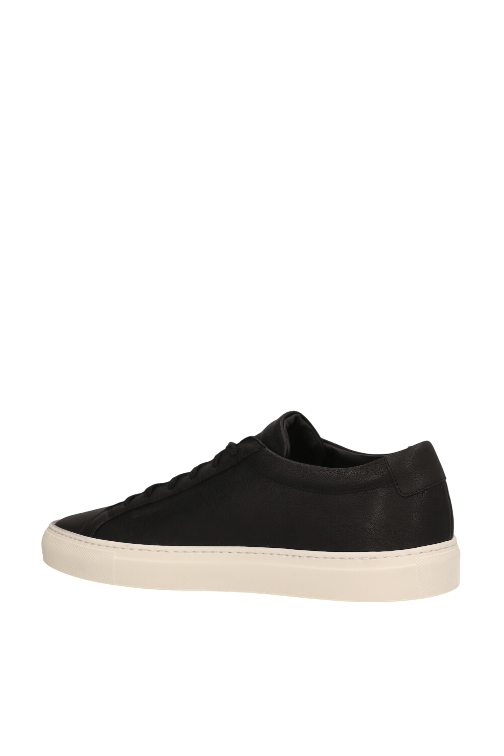 COMMON PROJECTS נעלי סניקרס עור