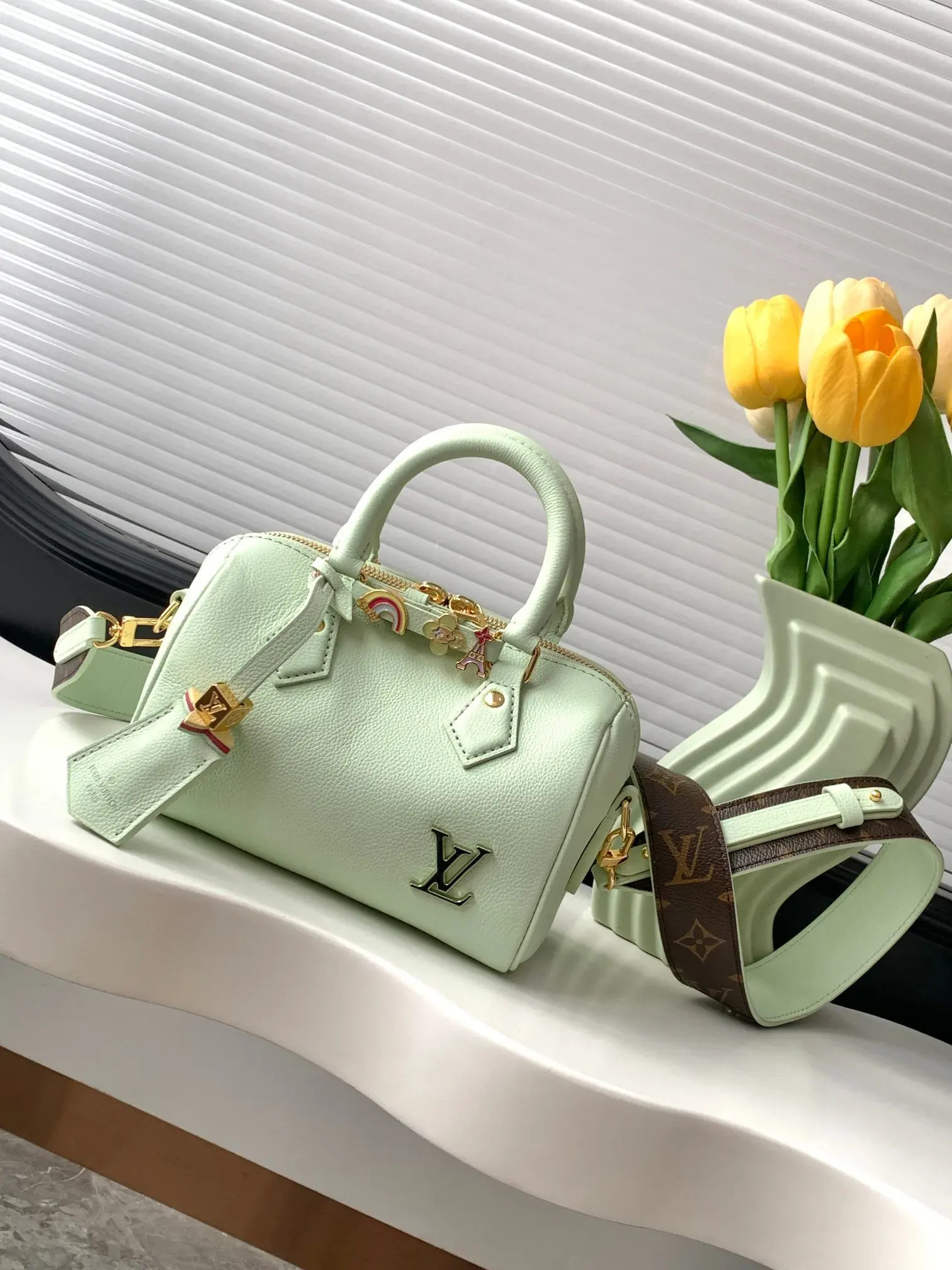 Louis Vuitton Green Speedy Top Handle Bag product photo from LabelPicks