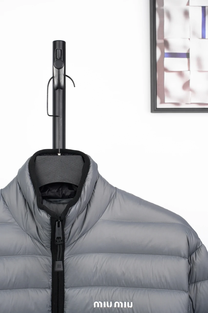 Miu Miu Matte Grey Logo Embroidered Stand Collar Down Jacket product photo from LabelPicks