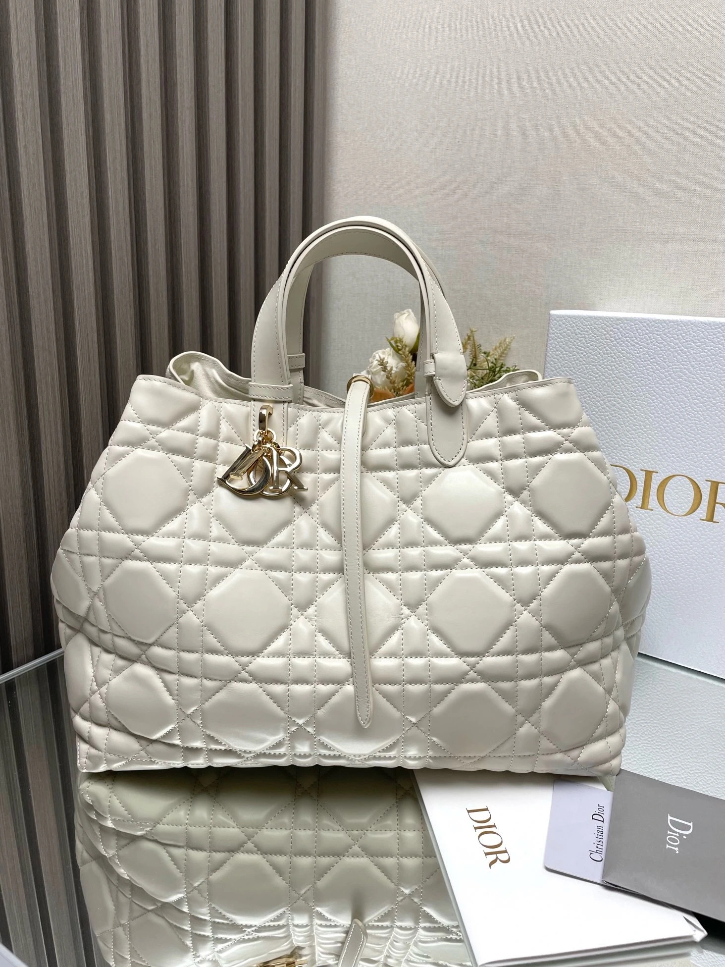 DIOR Toujours Bag
