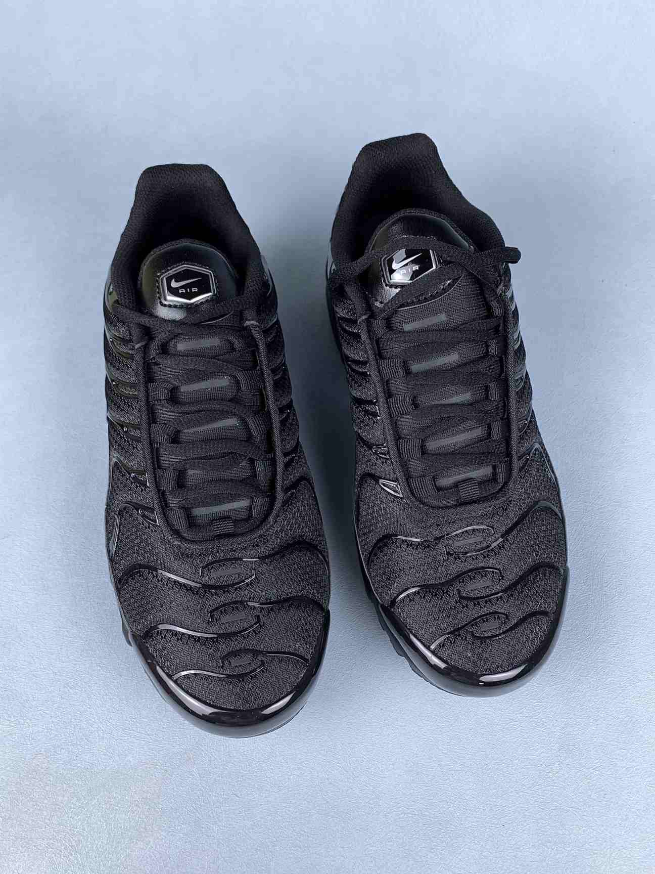 Nike Air Max Plus Shoes