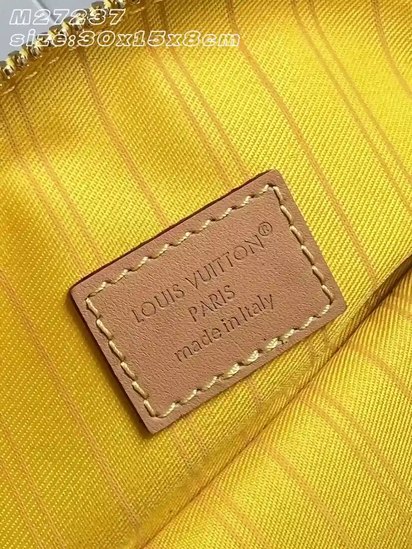 Louis Vuitton Nylon Belt Bag product photo from LabelPicks