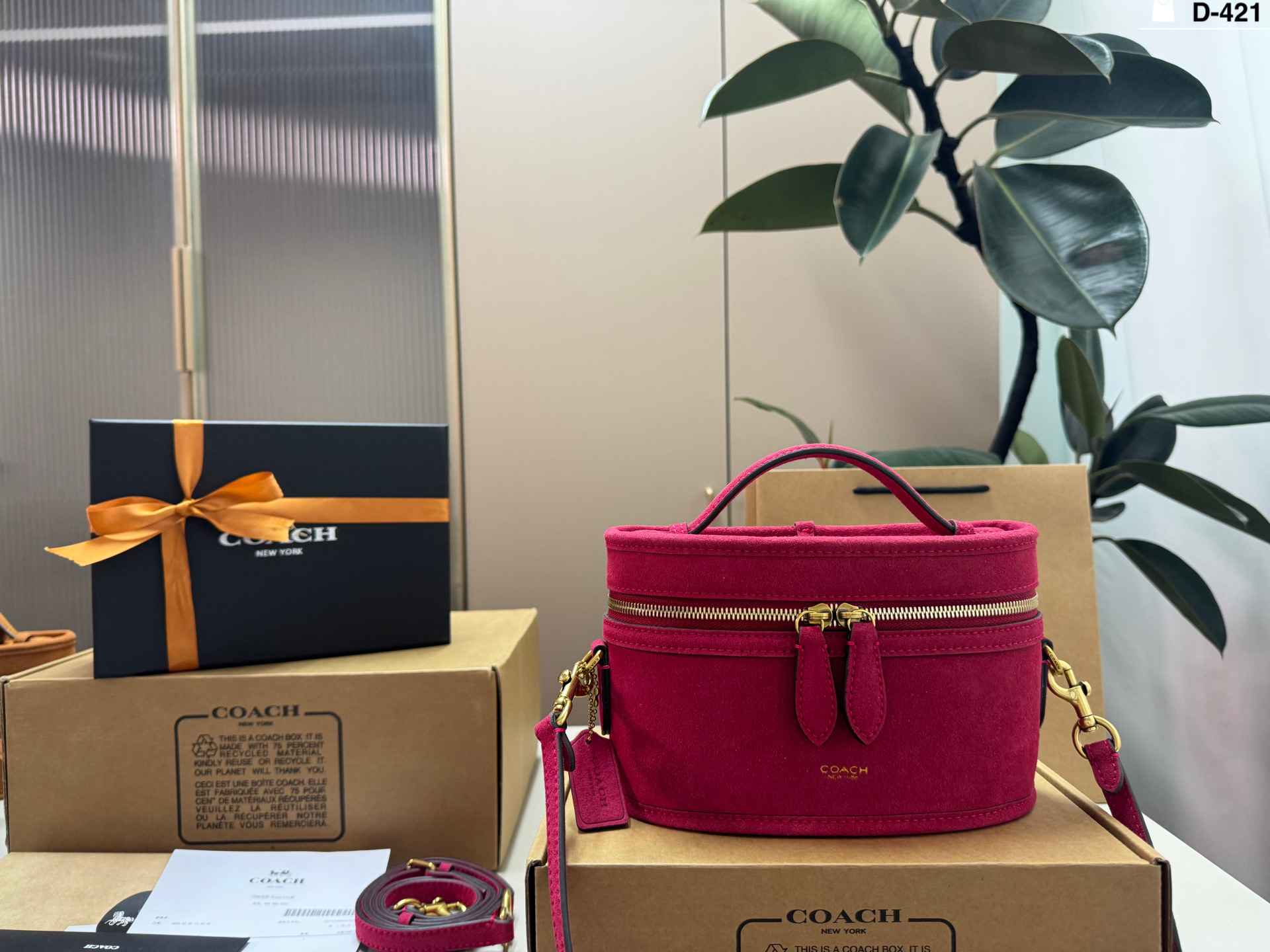 Coach Trail Suede box bag