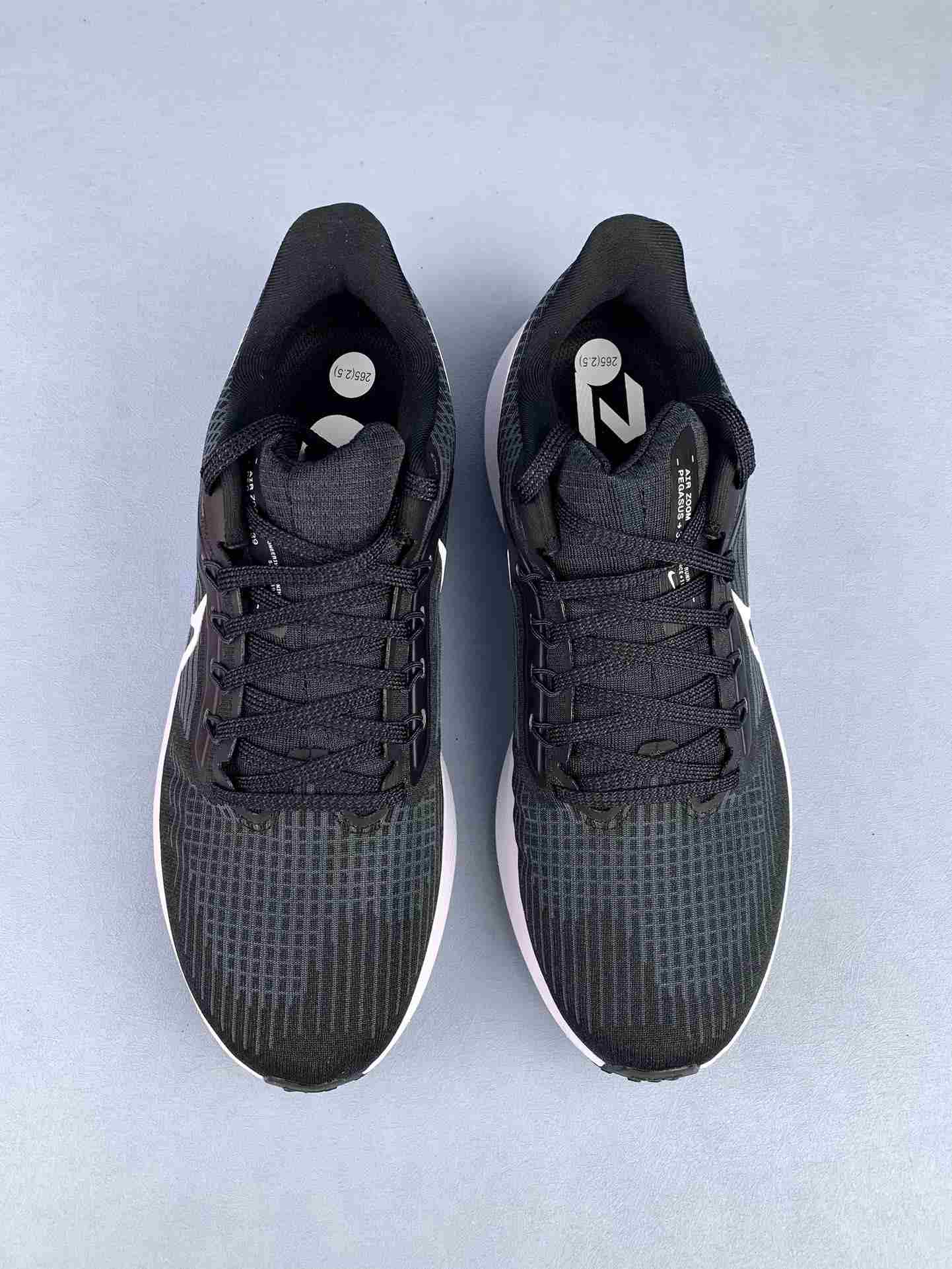 Nike Pegasus 39 Shoes