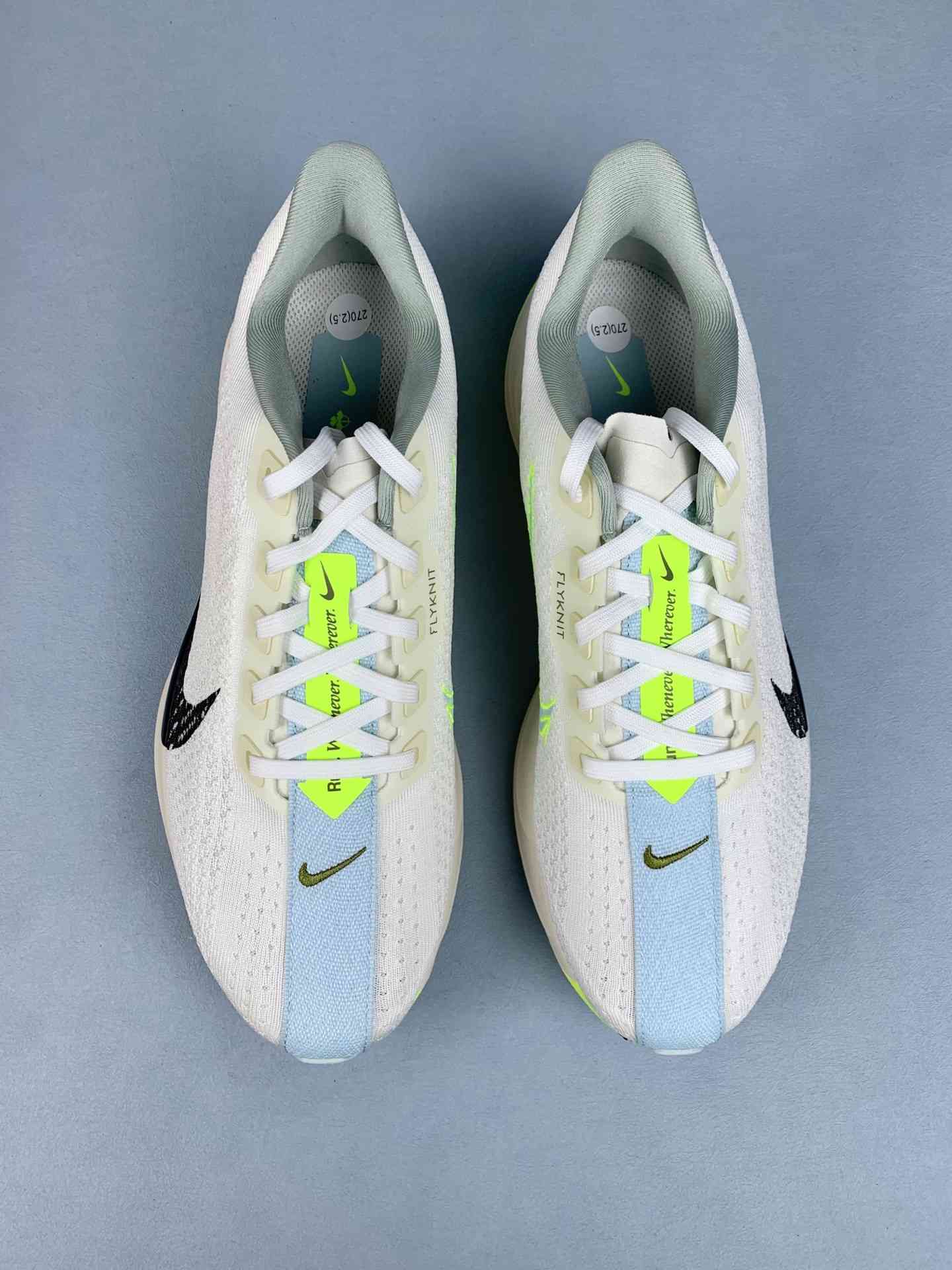 Nike Pegasus Plus Shoes