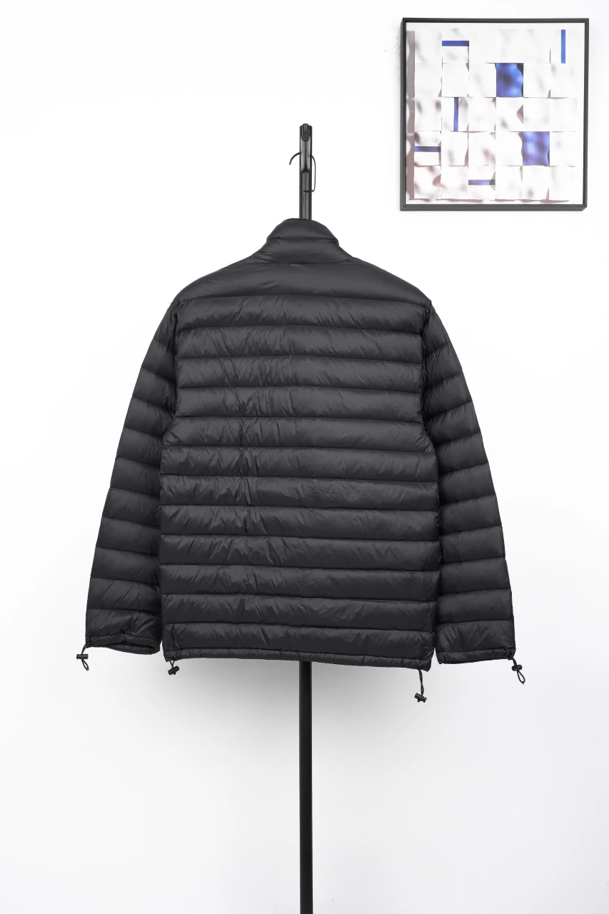 Miu Miu Matte Black Logo Embroidered Stand Collar Down Jacket product photo from LabelPicks