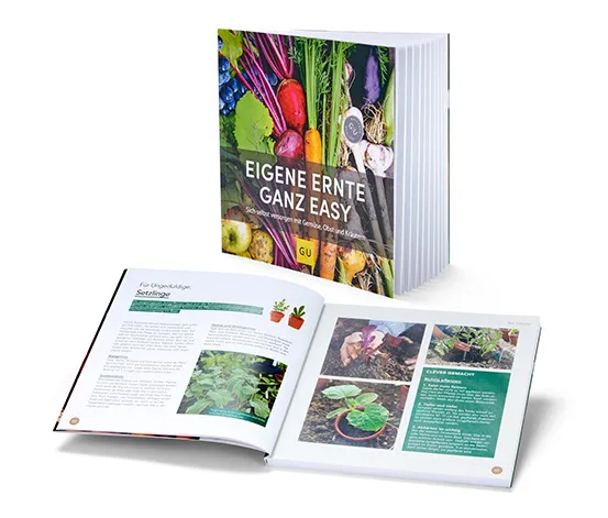 Buch »Eigene Ernte ganz easy«