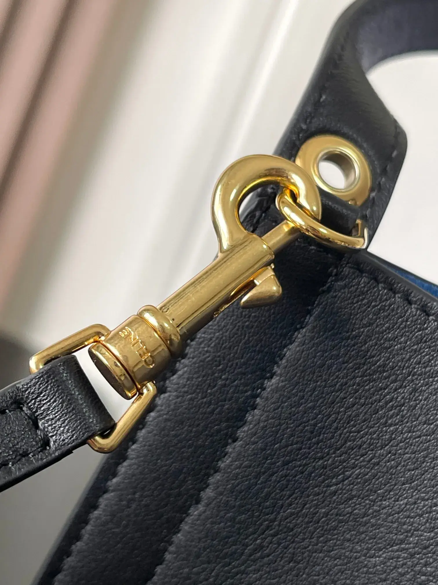 Celine Roomy Tote Bag product photo from LabelPicks