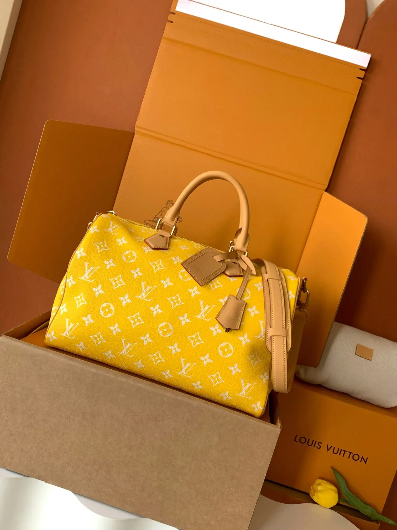 Louis Vuitton Grained Leather Speedy Top Handle Bag product photo from LabelPicks