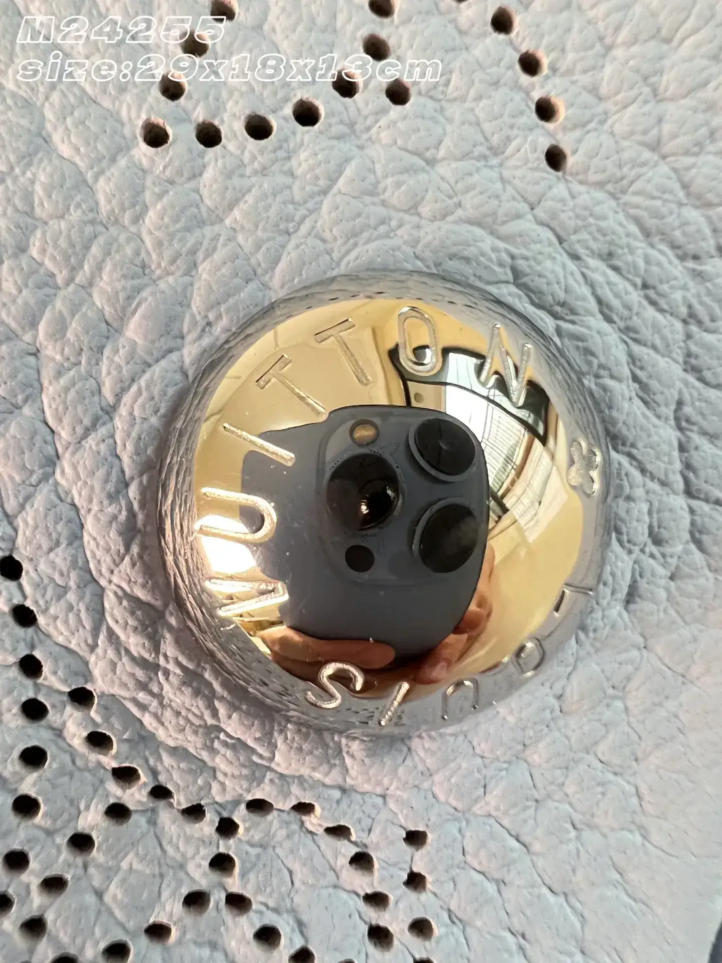 Louis Vuitton Calfskin Shoulder Bag product photo from LabelPicks