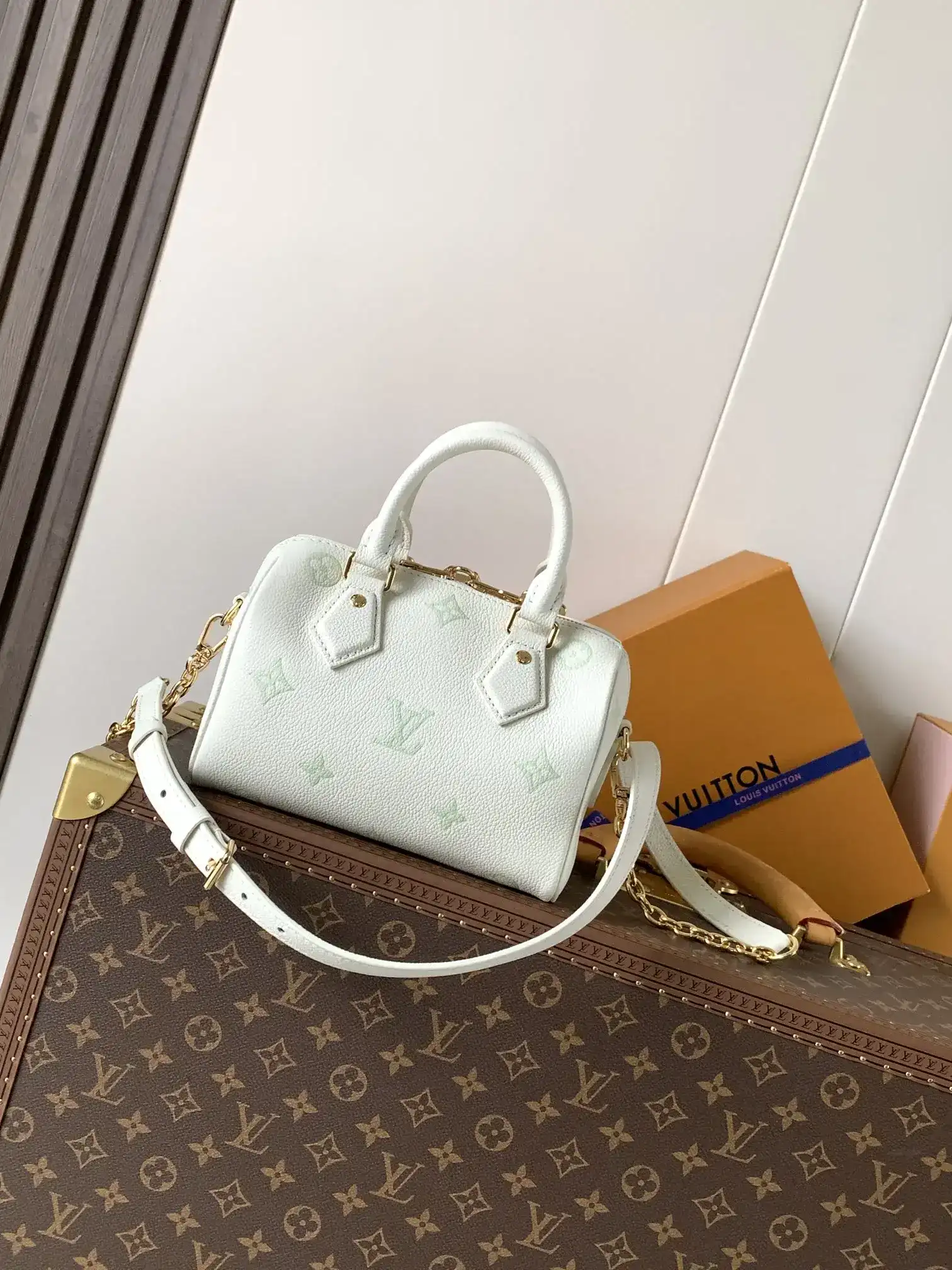 Louis Vuitton Speedy White Calfskin Top Handle Bag product photo from LabelPicks