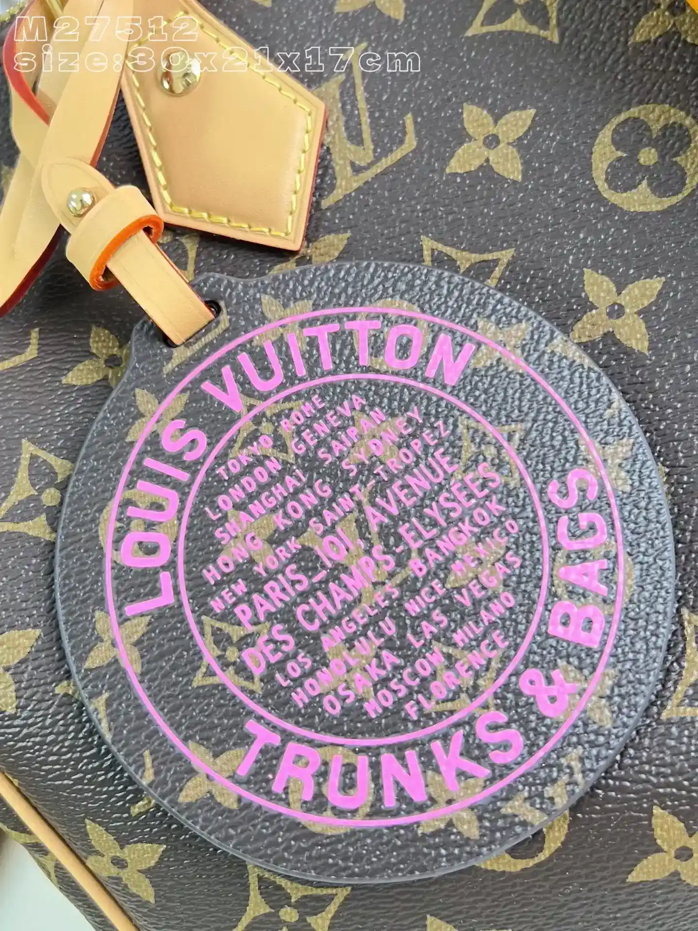 Louis Vuitton Nylon Speedy Top Handle Bag product photo from LabelPicks