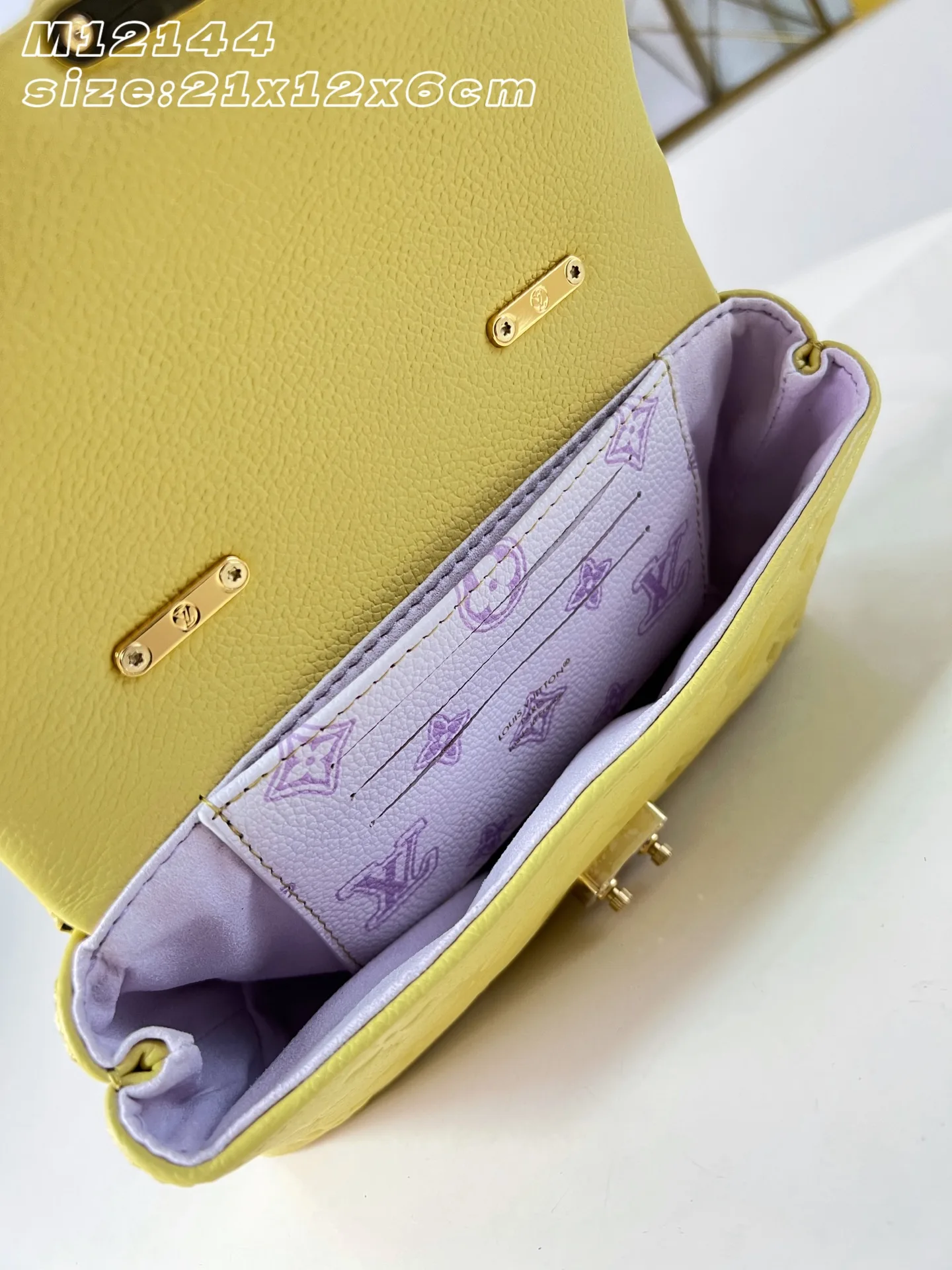 Louis Vuitton Woven Leather Madeleine Top Handle Bag product photo from LabelPicks