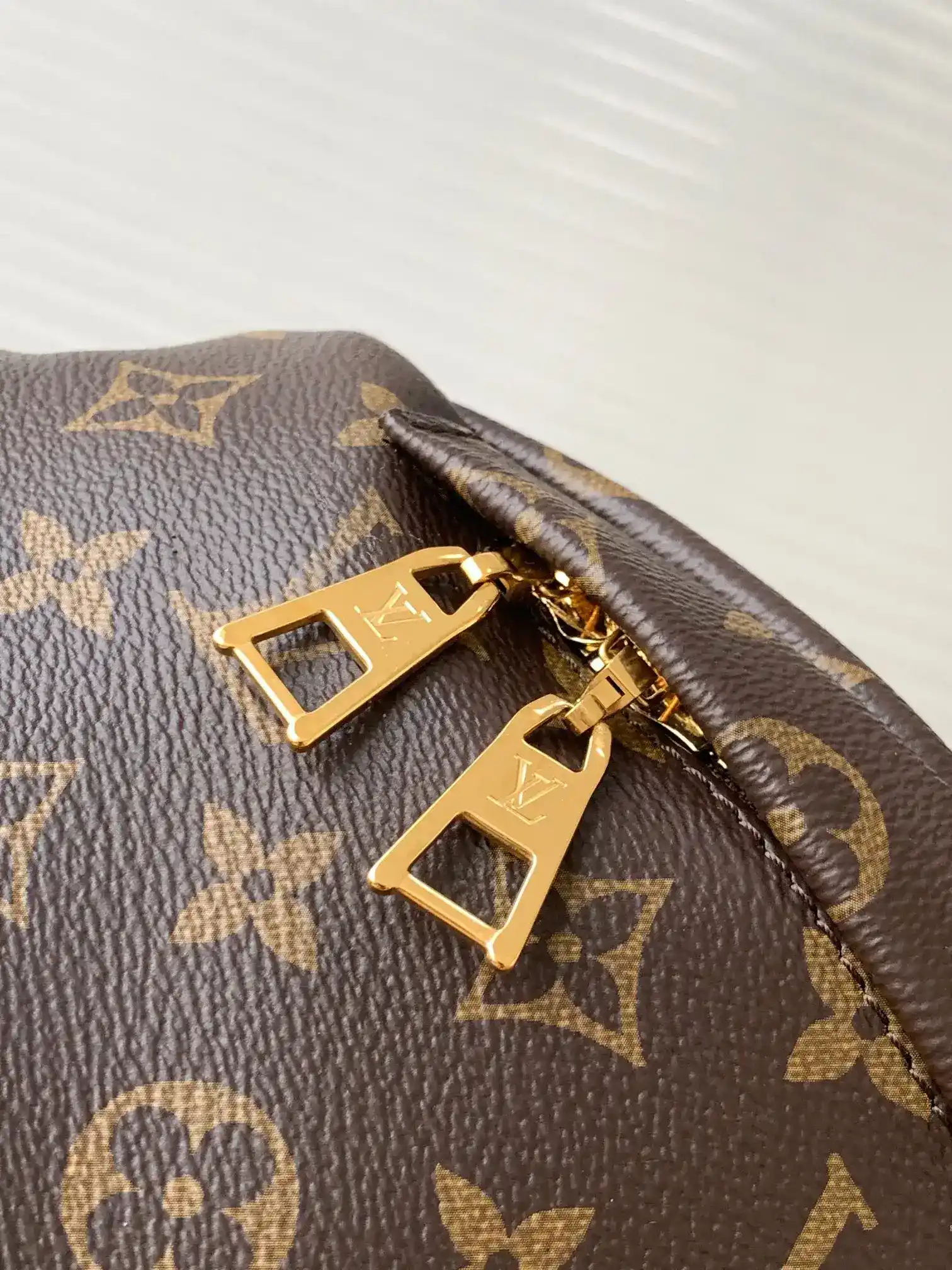 Louis Vuitton Monogram Canvas Belt Bag product photo from LabelPicks