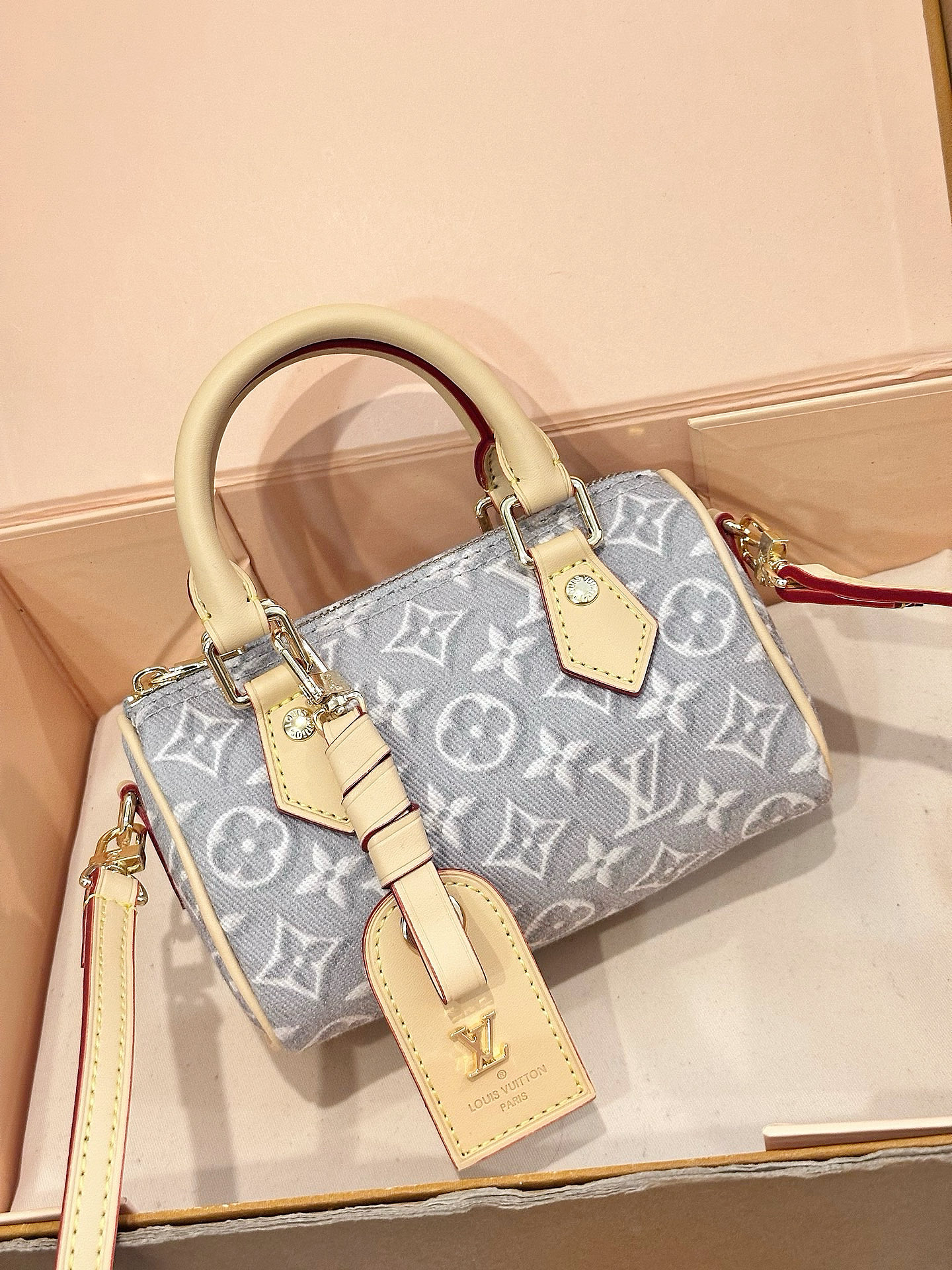 LV Nano Speedy Embossed Bag