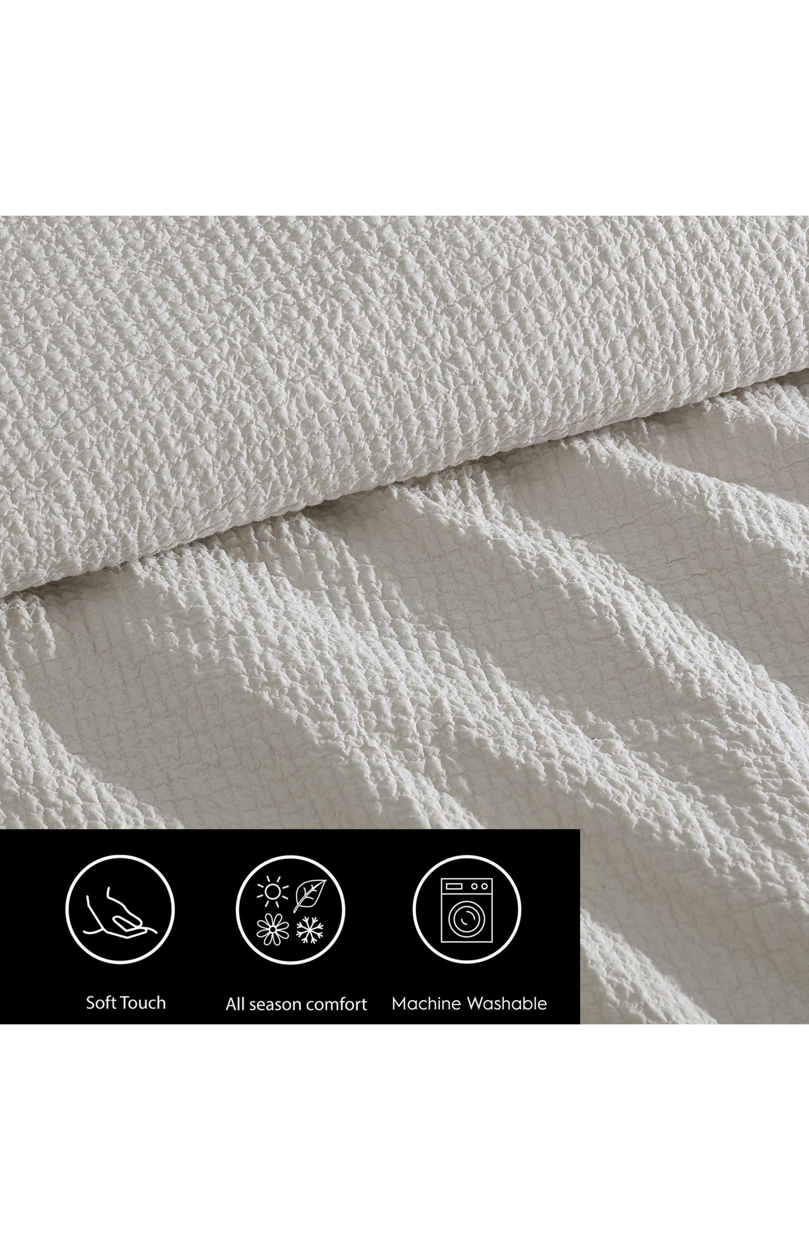 Vera Wang Puckered Comforter Set
