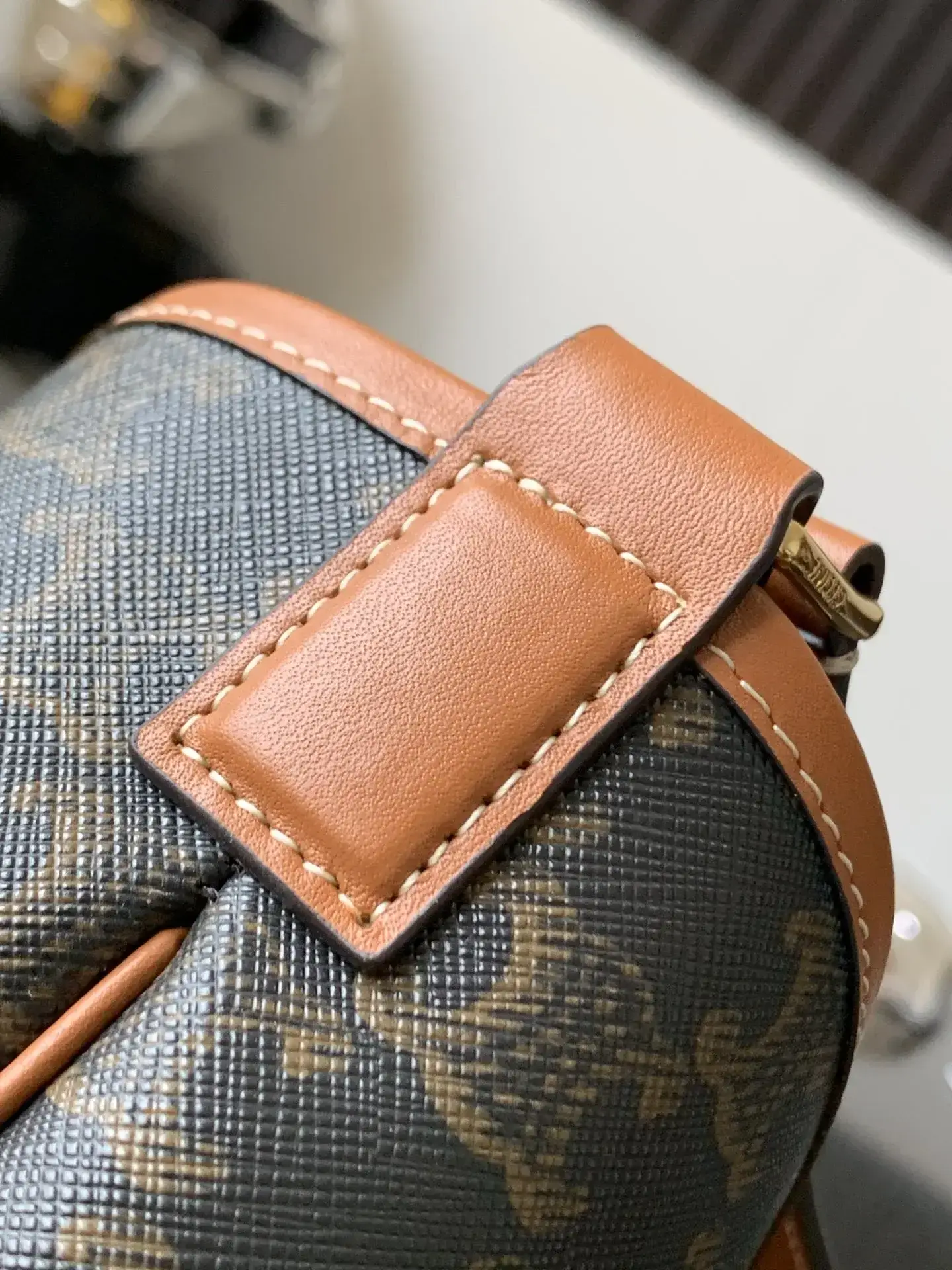 Celine Triomphe Canvas Bucket Bag product photo from LabelPicks