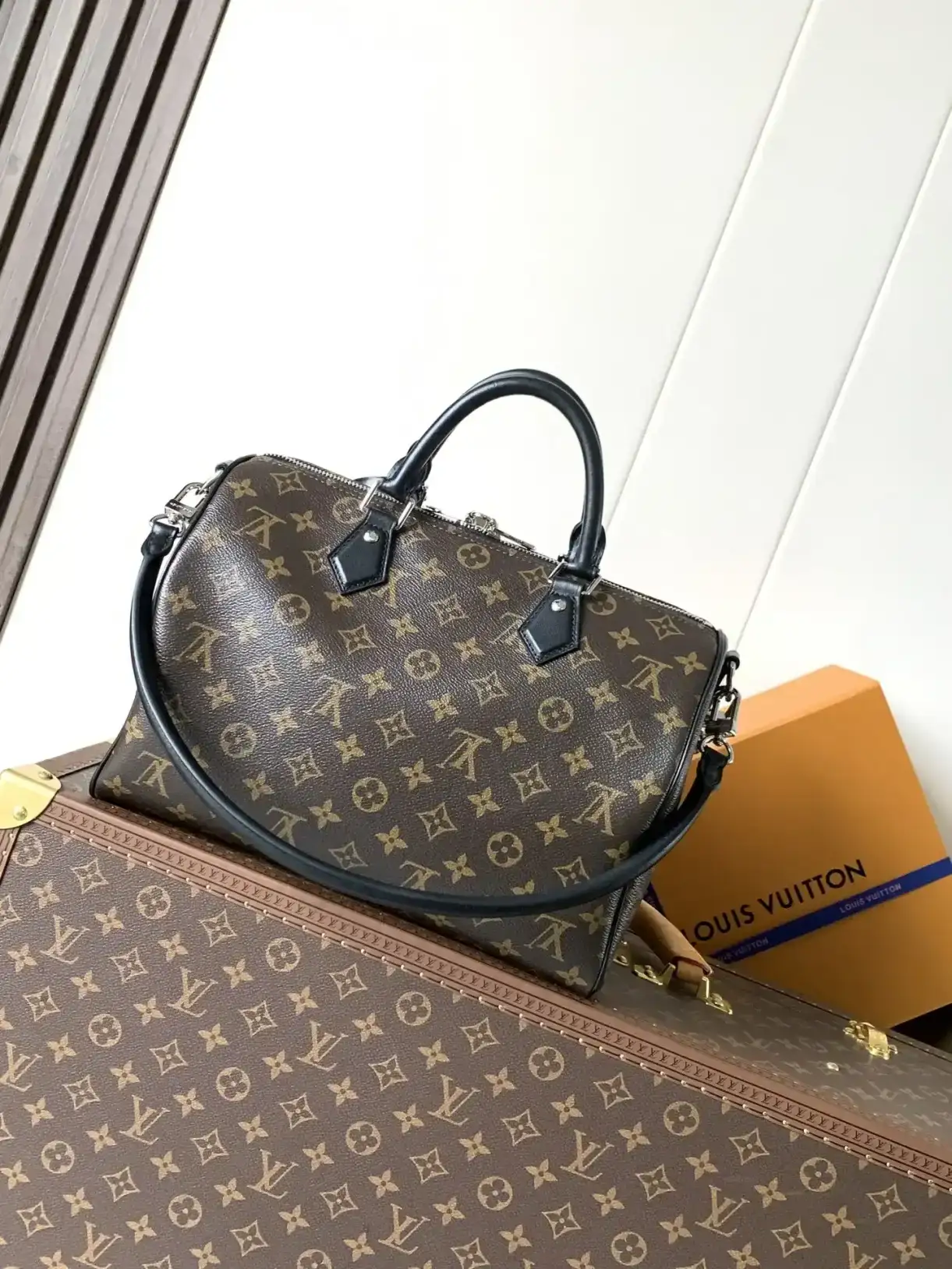 Louis Vuitton Monogram Canvas Speedy Top Handle Bag product photo from LabelPicks