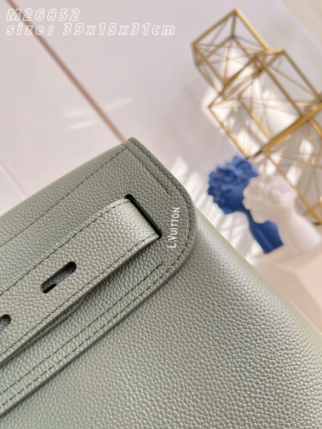 Louis Vuitton Grained Leather Backpack product photo from LabelPicks