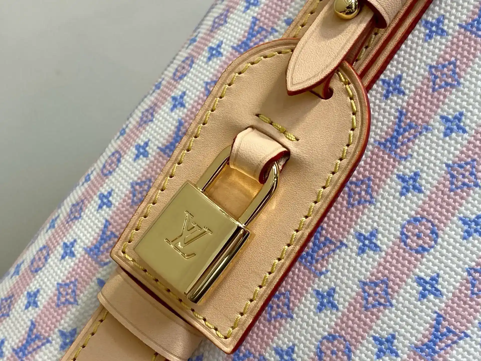 Louis Vuitton Pink Canvas and Leather Bucket Bag product photo from LabelPicks
