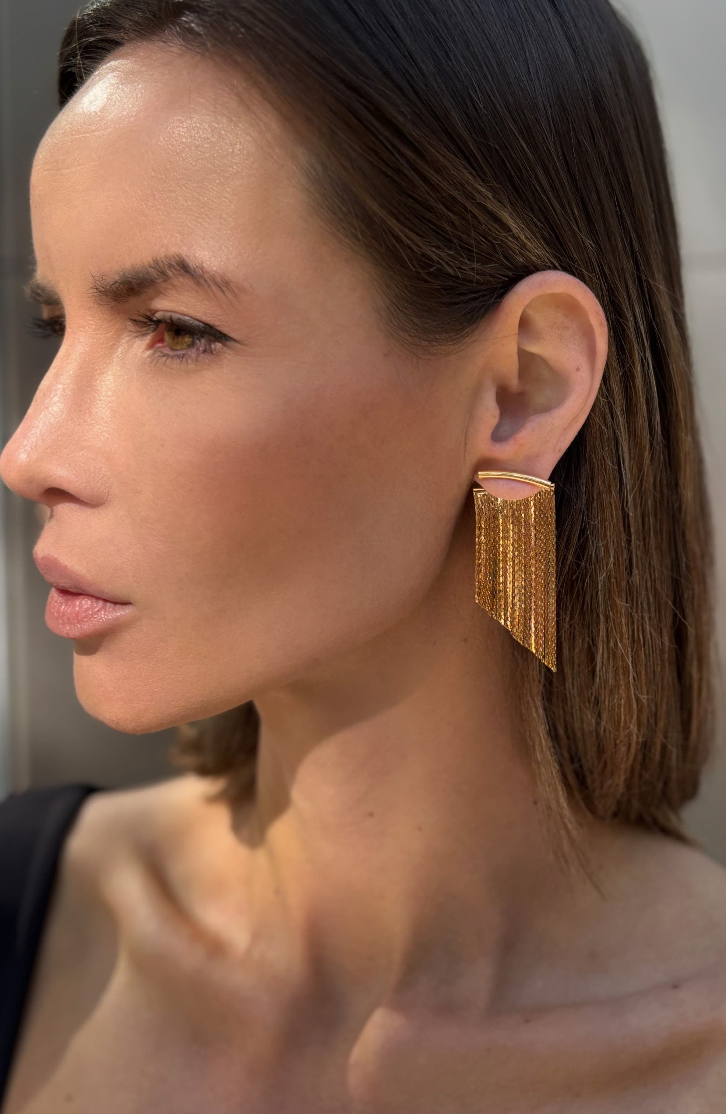 Adornia Fringe Drop Earrings