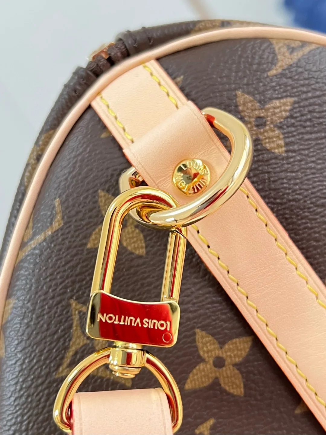 Louis Vuitton Speedy Canvas and Leather Top Handle Bag product photo from LabelPicks