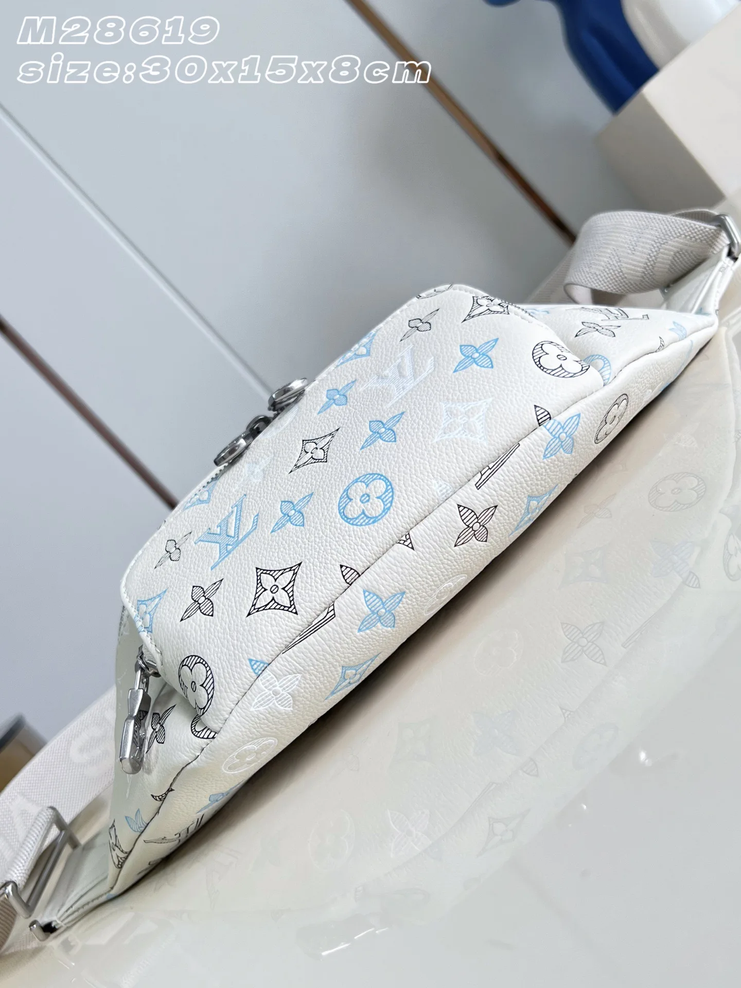 Louis Vuitton Calfskin Belt Bag product photo from LabelPicks