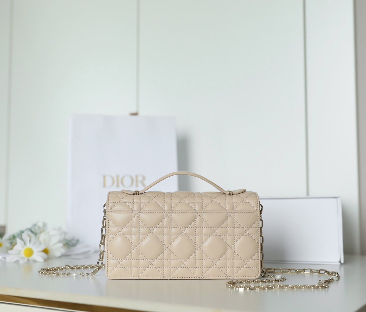 Dior Mini Chain Bag