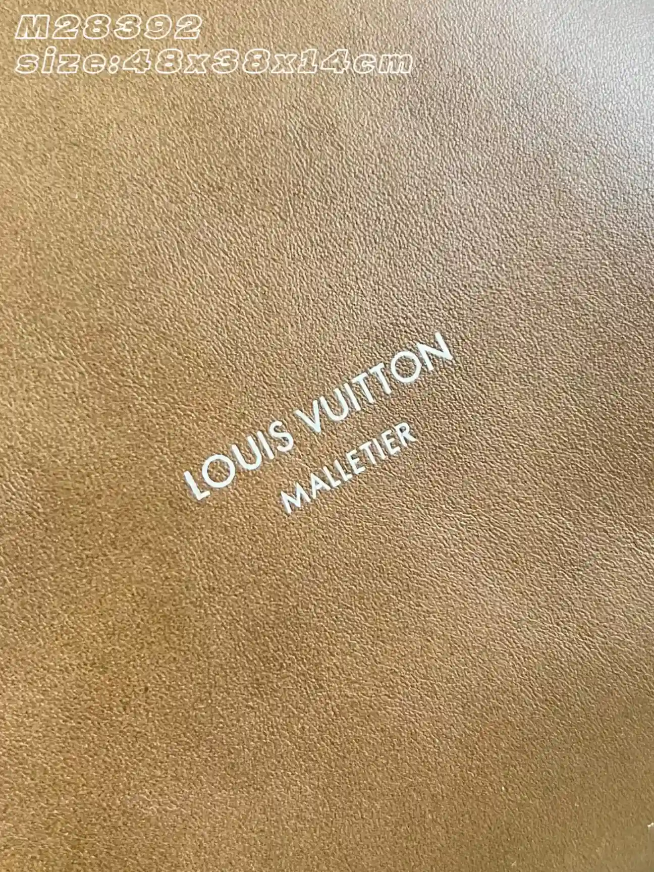 Louis Vuitton Soft Hobo Bag product photo from LabelPicks