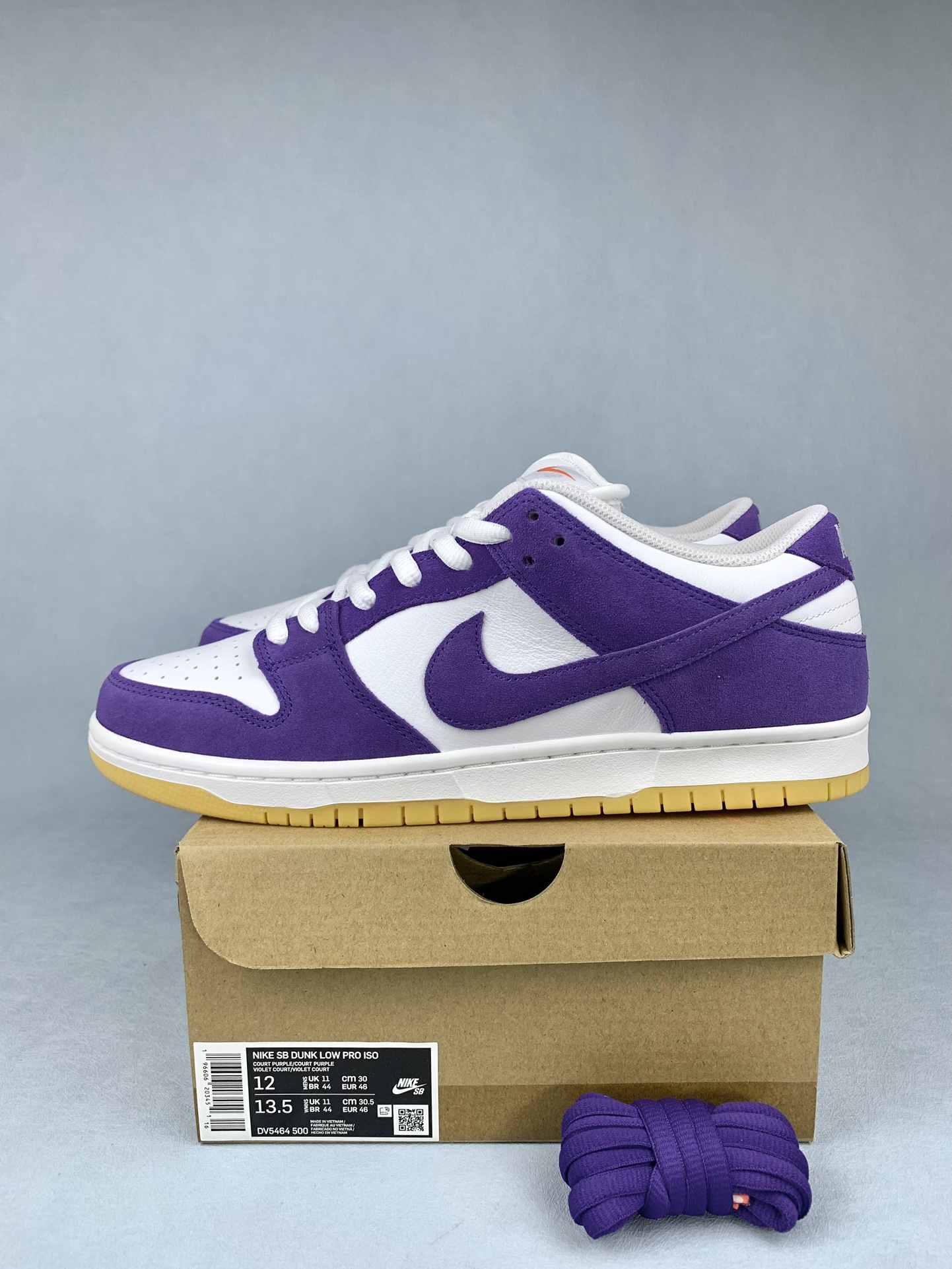Nike SB Dunk Low Pro Shoes