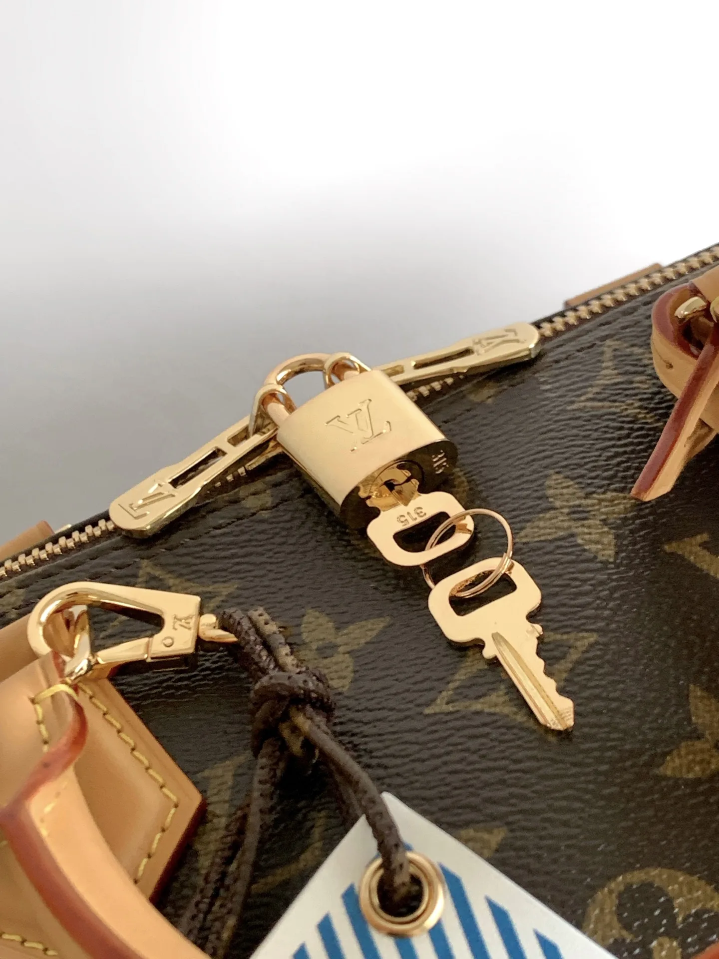 Louis Vuitton Speedy Monogram Canvas Top Handle Bag product photo from LabelPicks